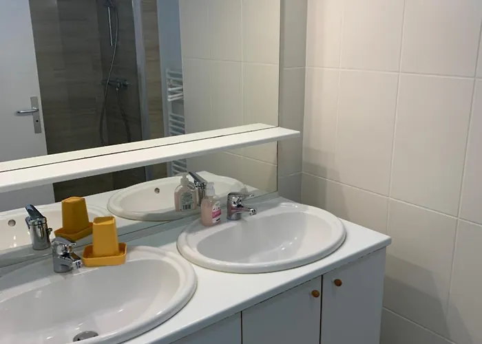 2 Avec Balcon Et Parking Perpignan